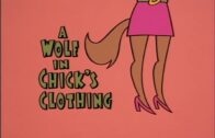 A-Wolf-in-Chicks-Clothing