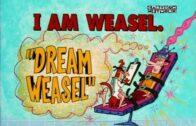 Dream-Weasel