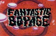 Fantastic-Boyage