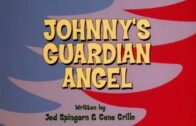 Johnnys-Guardian-Angel