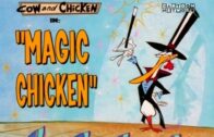 Magic-Chicken