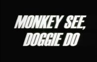 Monkey-See-Doggie-Do