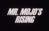 Mr.-Mojos-Rising