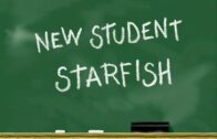 New-Student-Starfish