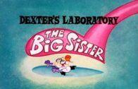 The-Big-Sister